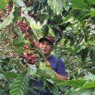 Colombia, Huila,  Finca Monteblanco - 