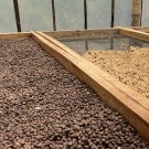 Indonesia, Øst Java, Echwan thumbnail