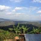 Rwanda, Musasa Dukundekawa, Nkara, KOFFEINFRI thumbnail