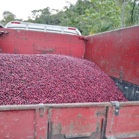 Costa Rica, La Ramona