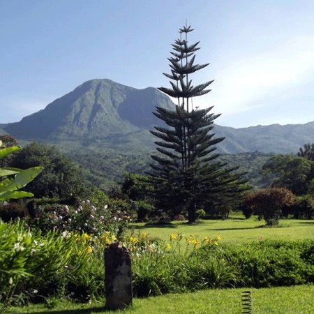 Tanzania, Lunji Estate