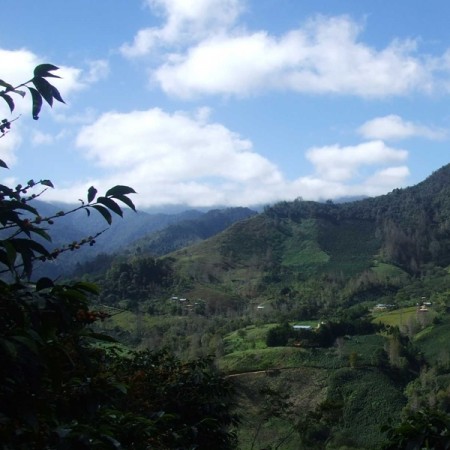 Guatemala, Finca las Nubes