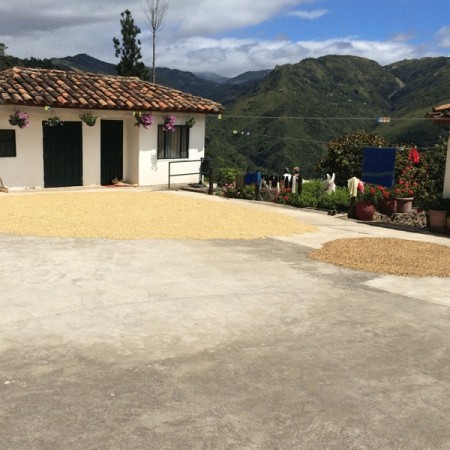 Colombia, Bomba de Fruta #5